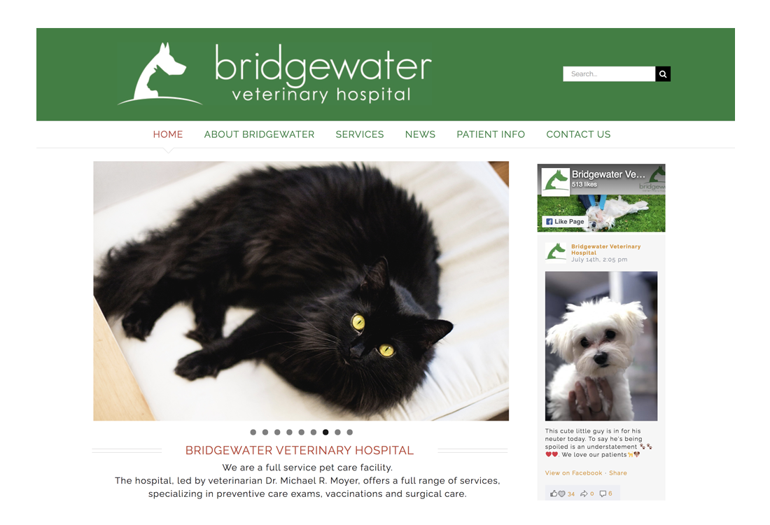 Bridgewater Veterinary Hospitals